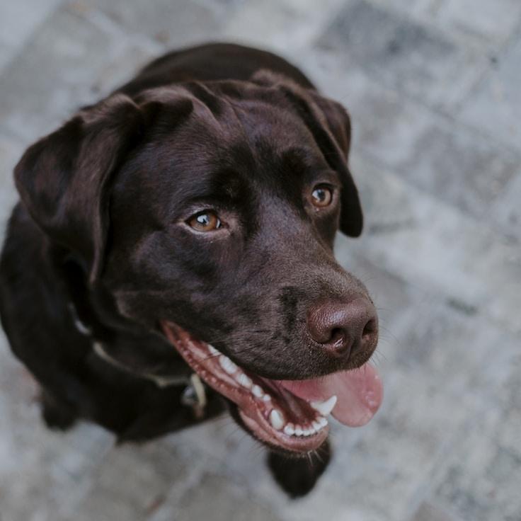 School environment for families in Rome, Italy